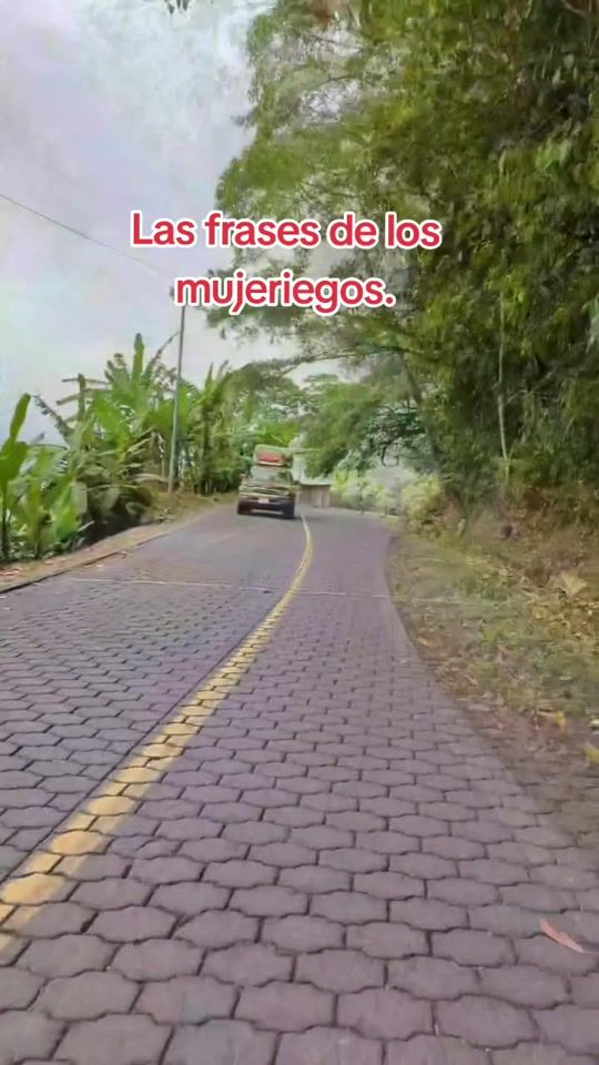 TikTok video thumbnail by lisethisague
