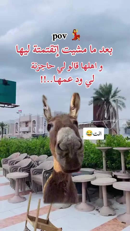 TikTok video thumbnail by dollar21264