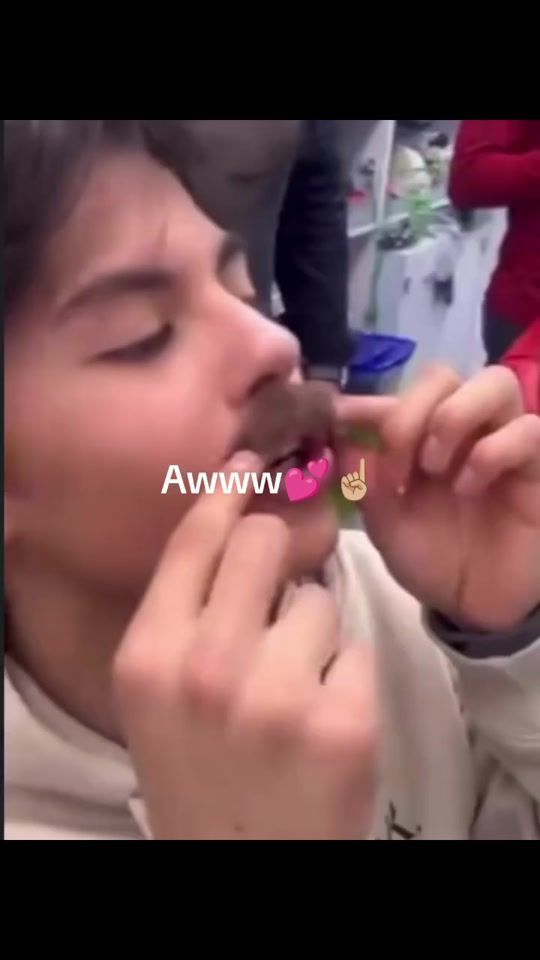 TikTok video thumbnail by hatbp0._