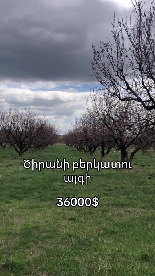TikTok video thumbnail by afto_am