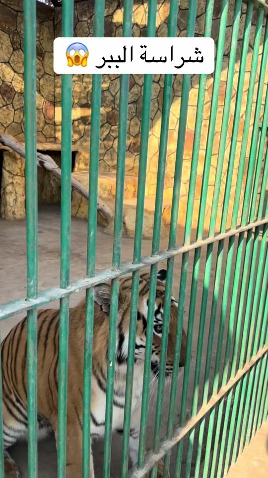 TikTok video thumbnail by africano_tolba