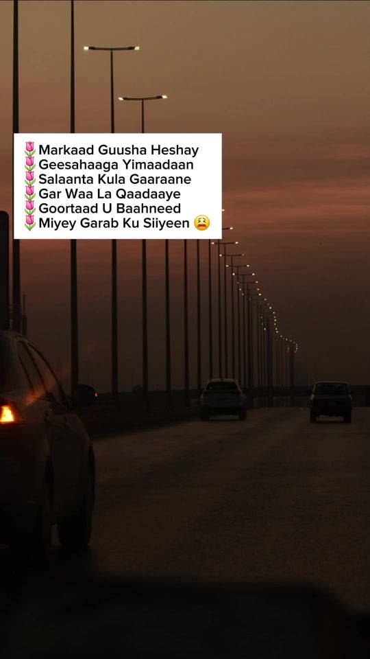 TikTok video thumbnail by abwaan_dool