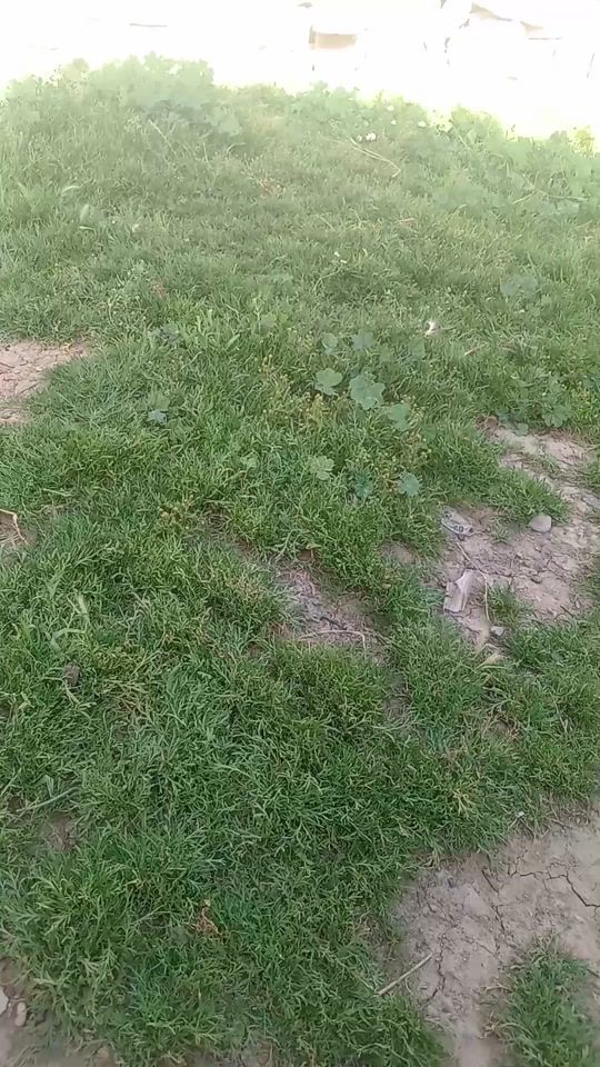 TikTok video thumbnail by mv___b67
