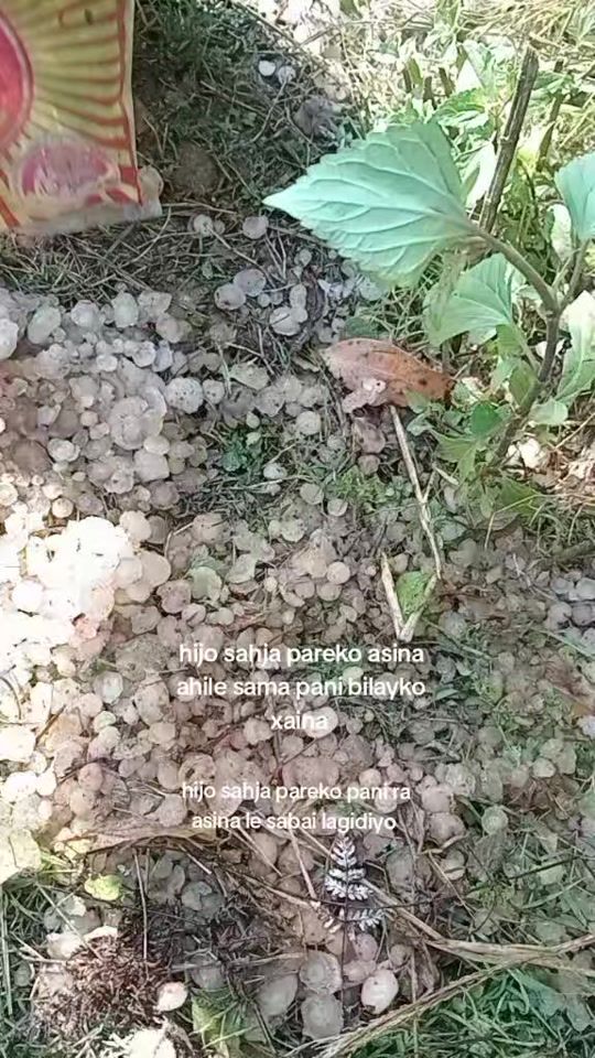 TikTok video thumbnail by jamuna.pun615