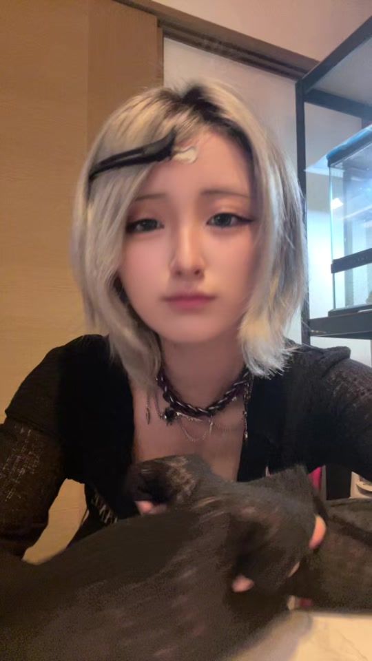 TikTok video thumbnail by murasakisikibu811