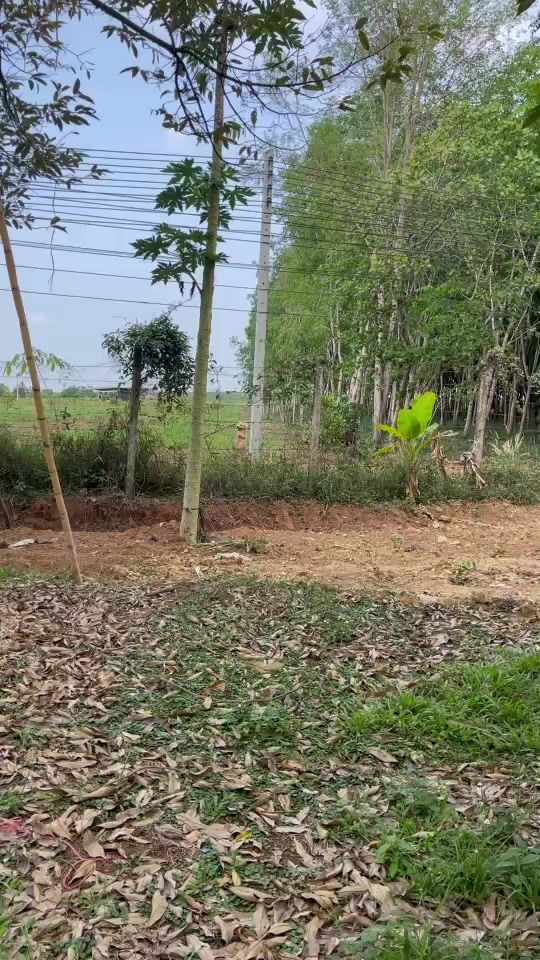 TikTok video thumbnail by jarinya9999