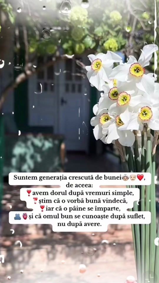 TikTok video thumbnail by _ioana_0_