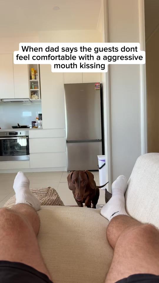 TikTok video thumbnail by darcyanddad