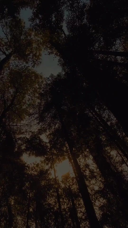 TikTok video thumbnail by axtara_holding