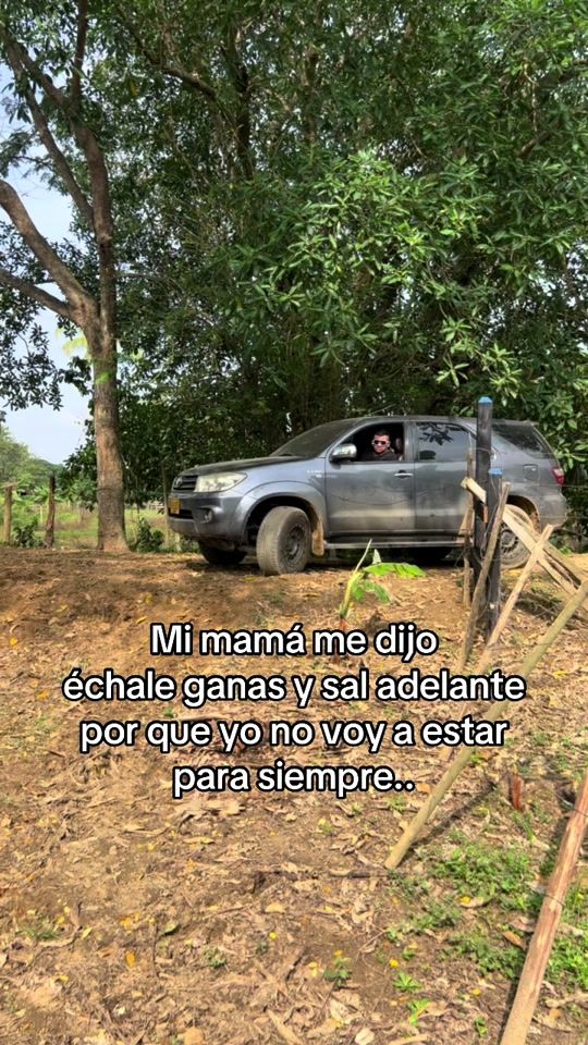 TikTok video thumbnail by jorge_mendoza____