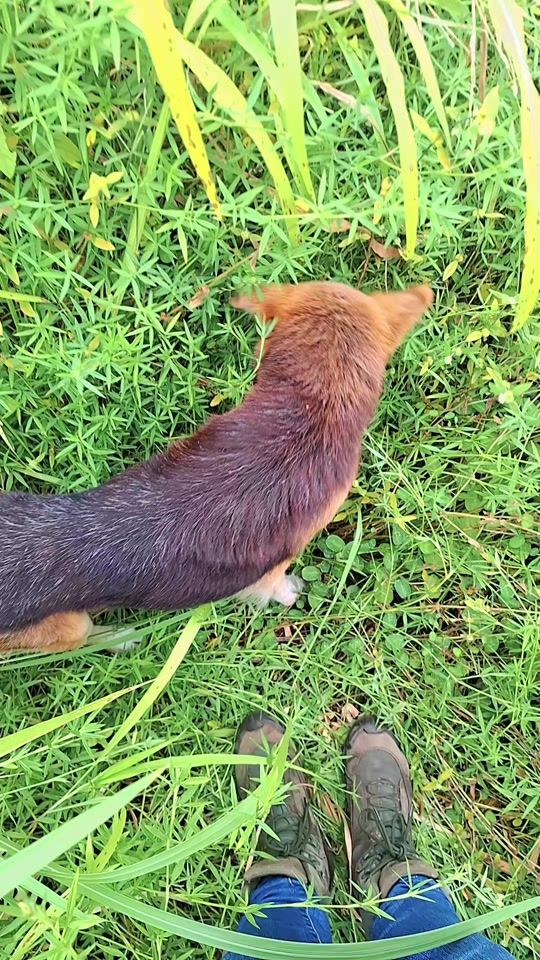 TikTok video thumbnail by jenniferbaing