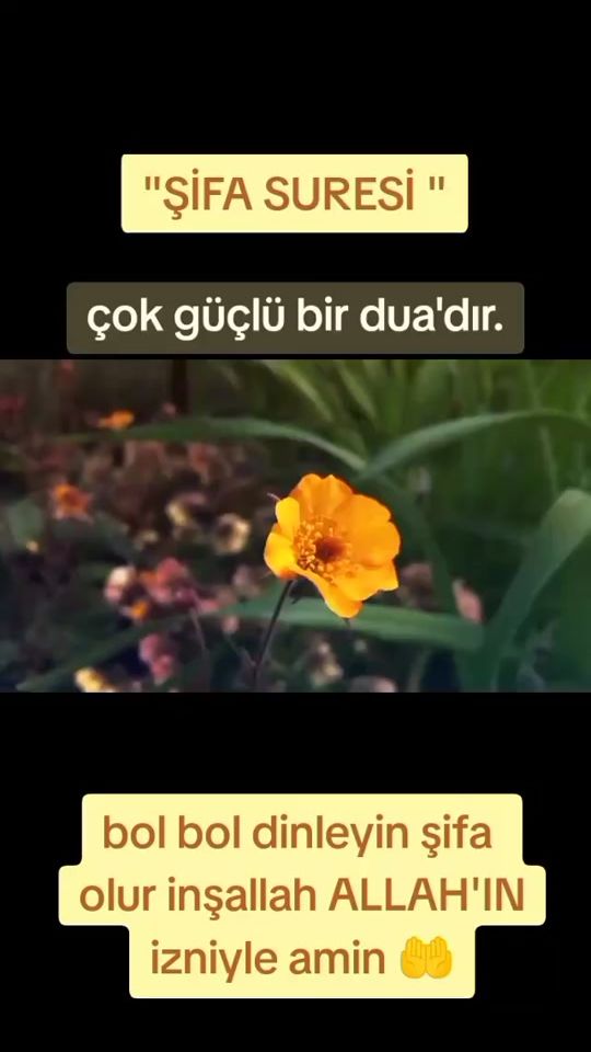 TikTok video thumbnail by cavresaminyeres_