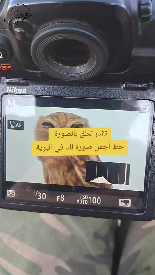 TikTok video thumbnail by tarek_mess05