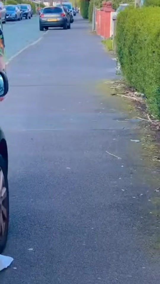 TikTok video thumbnail by shabnam.kpk16