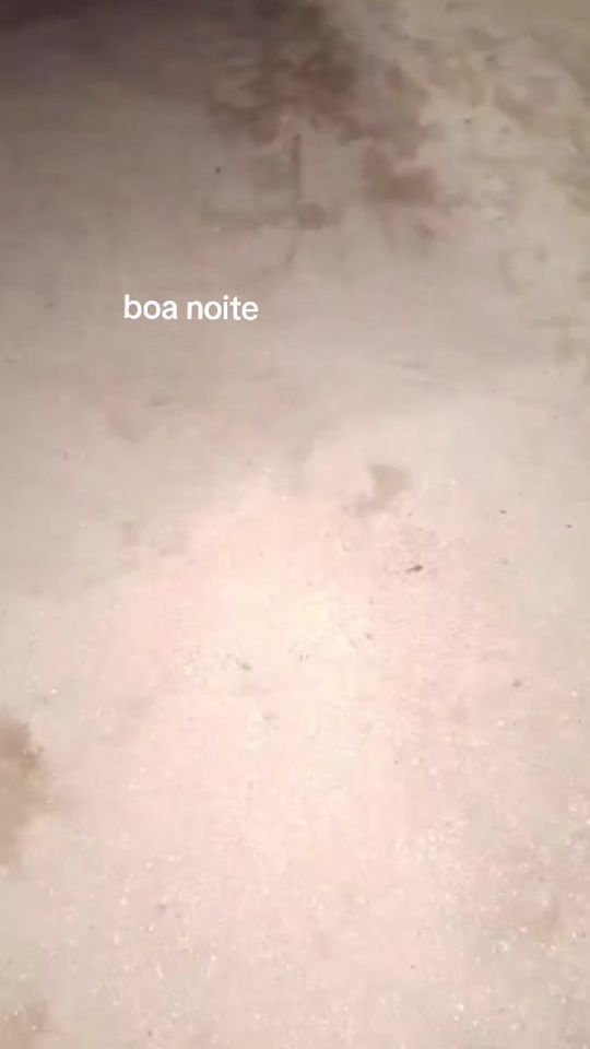 TikTok video thumbnail by jos..sousa123