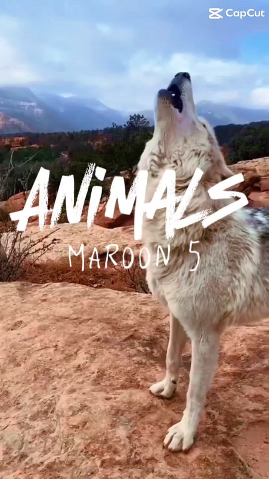 TikTok video thumbnail by akiox_9038