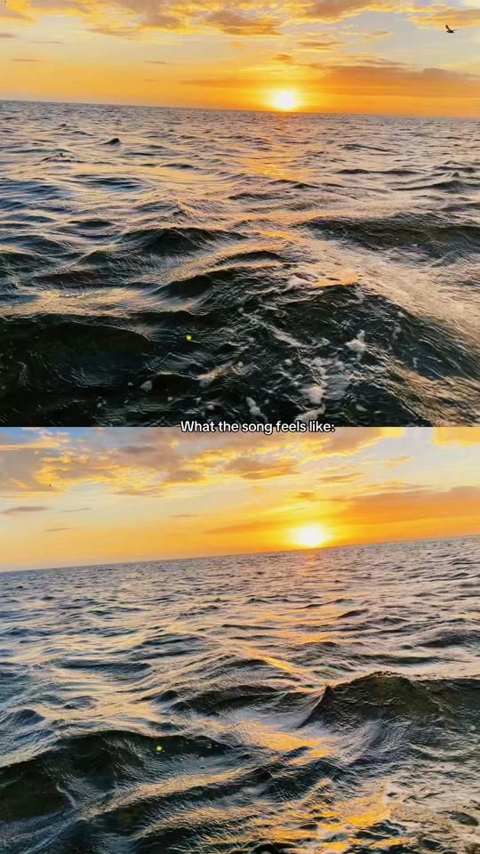 TikTok video thumbnail by adventures.of.talei