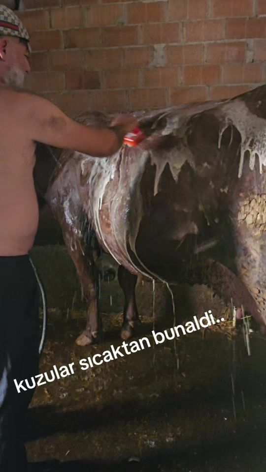 TikTok video thumbnail by zeus.offcial.19