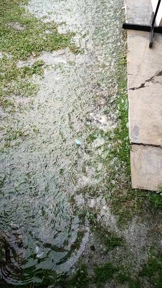 TikTok video thumbnail by live_your_life_26