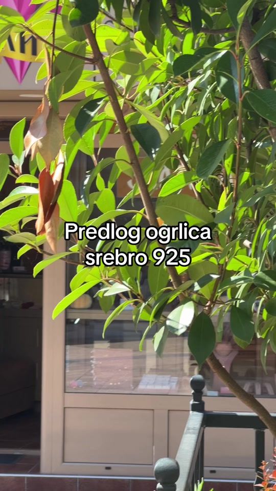 TikTok video thumbnail by zlatara_ilic