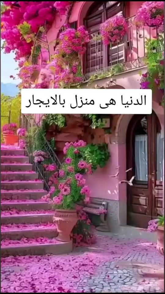 TikTok video thumbnail by rooro79