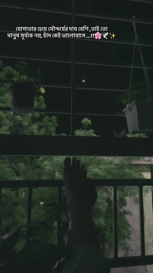 TikTok video thumbnail by fahamidaalo