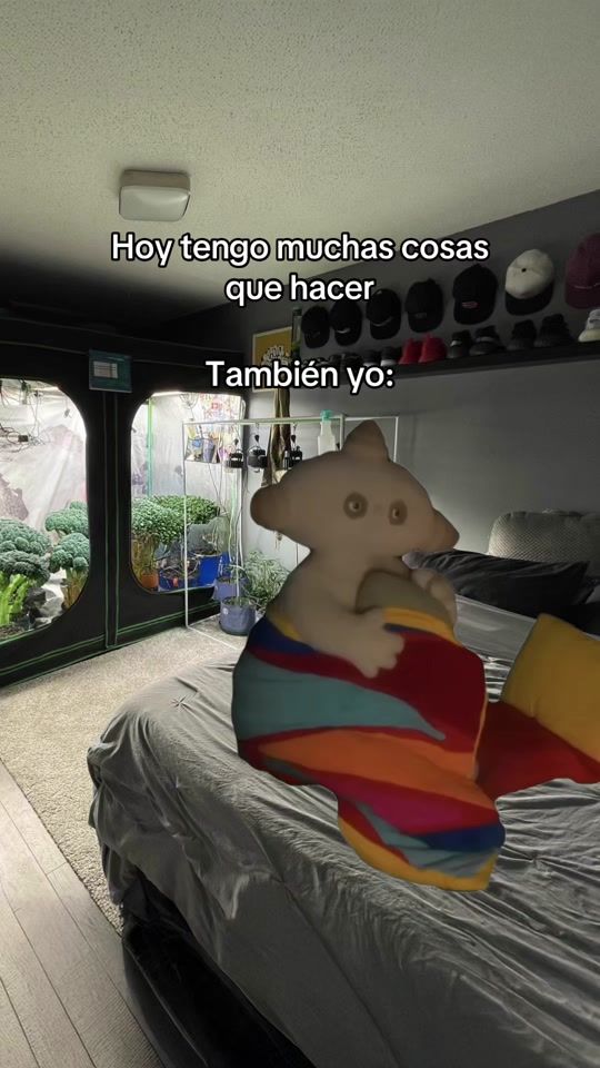 TikTok video thumbnail by bordergrower.mx