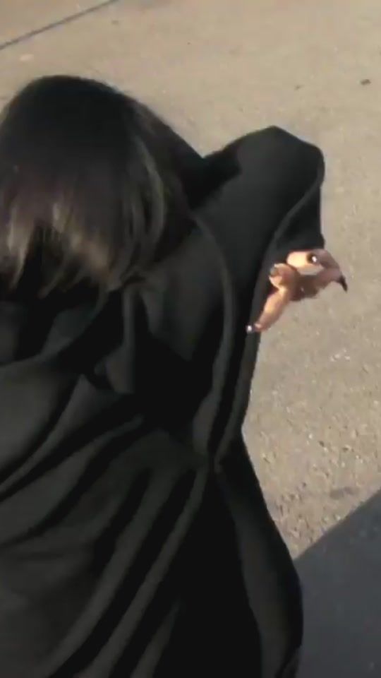TikTok video thumbnail by jisoo