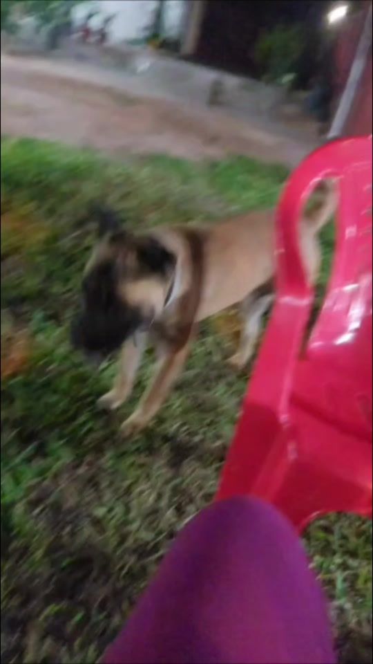 TikTok video thumbnail by noeliadavalos66
