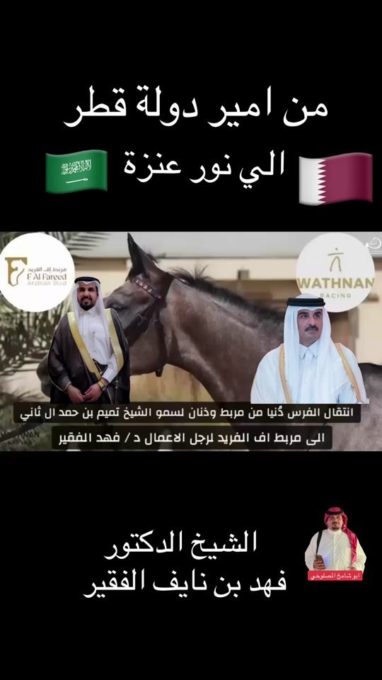 TikTok video thumbnail by .2641860
