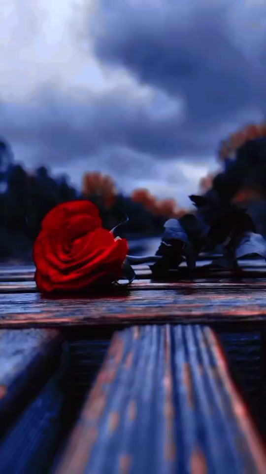 TikTok video thumbnail by yt.sad2309
