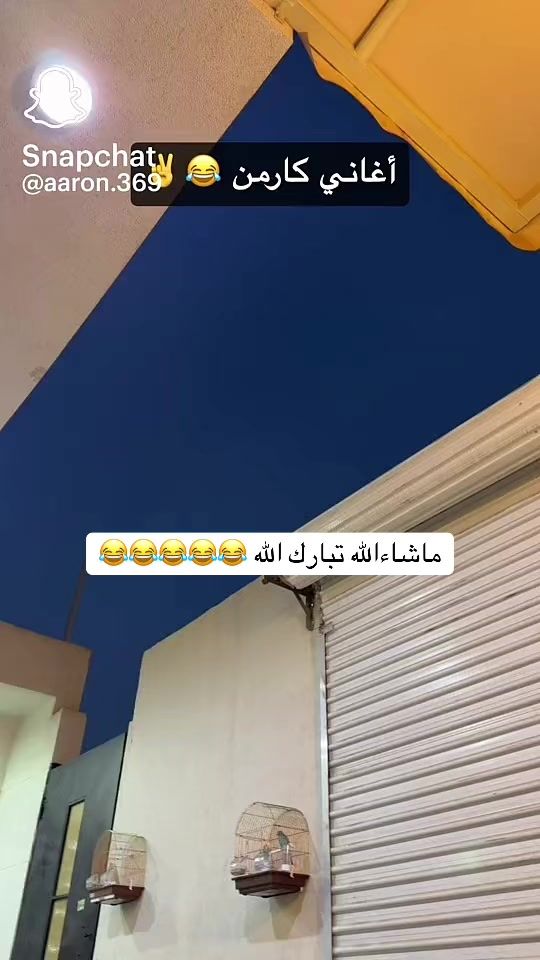 TikTok video thumbnail by hact1284
