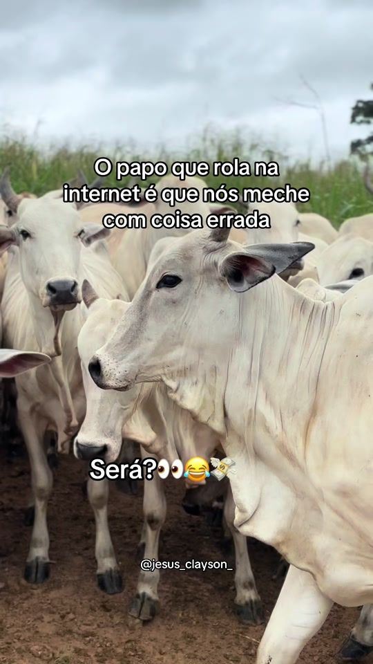 TikTok video thumbnail by jesus_clayson_