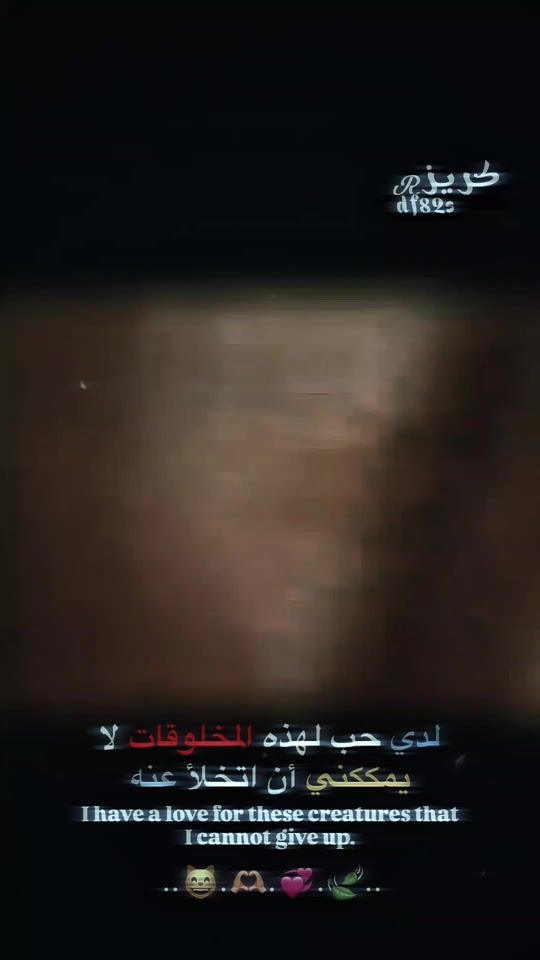 TikTok video thumbnail by df82s