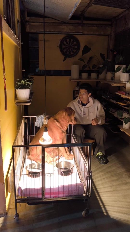 TikTok video thumbnail by woof_wooff_