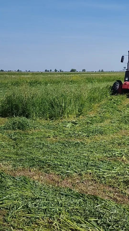 TikTok video thumbnail by e_k9991