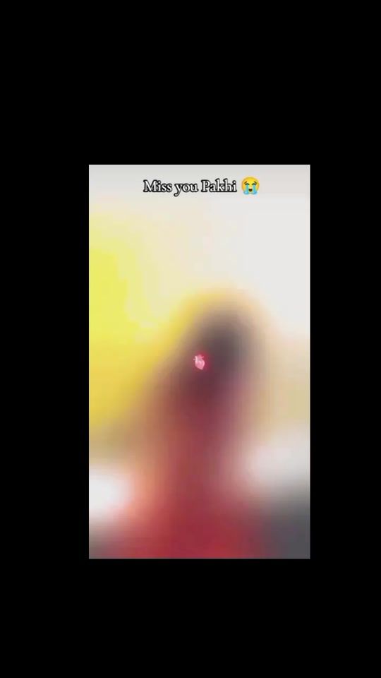 TikTok video thumbnail by alviislam.com128