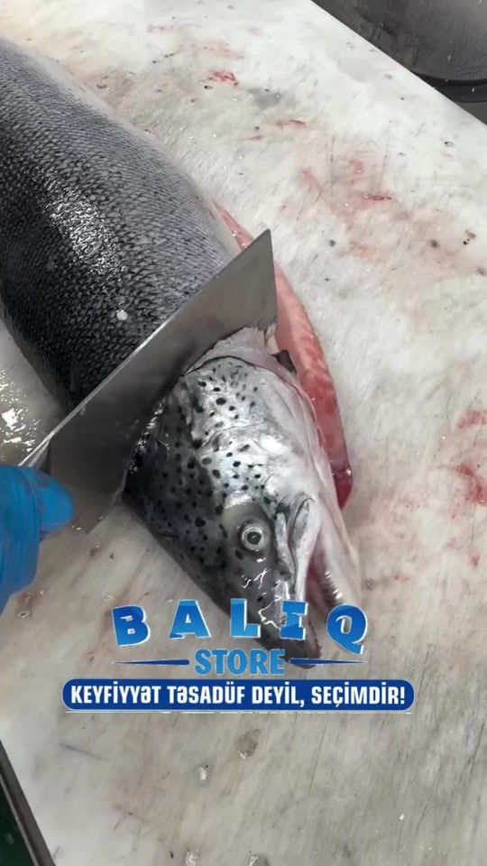 TikTok video thumbnail by baliq.store
