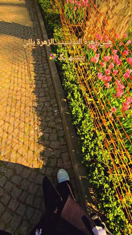 TikTok video thumbnail by hiba.tarrab