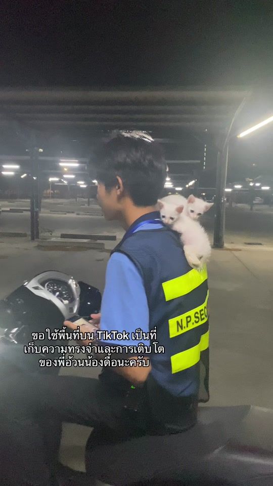 TikTok video thumbnail by aa_dd_27