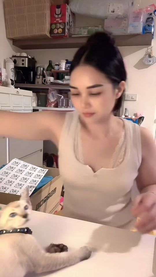 TikTok video thumbnail by 289arittidee