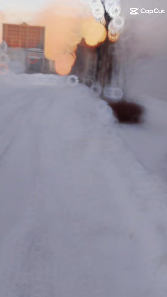 TikTok video thumbnail by leo_lee686