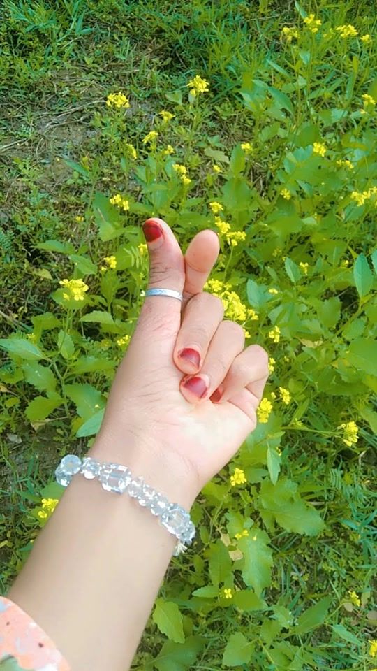 TikTok video thumbnail by user6072144091568