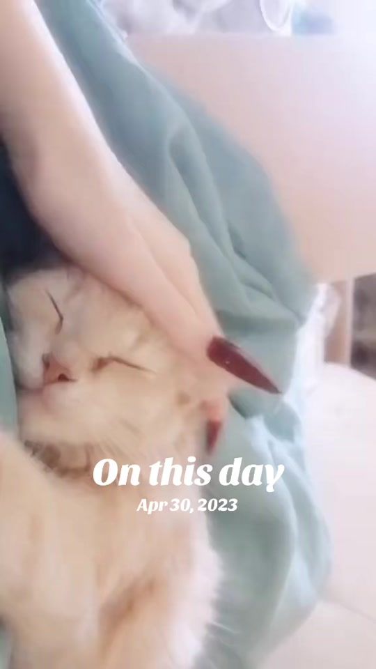 TikTok video thumbnail by sorzelur_nut