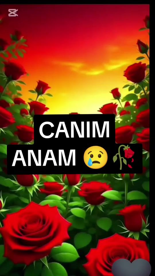 TikTok video thumbnail by ana_hesreti_05_11_2019
