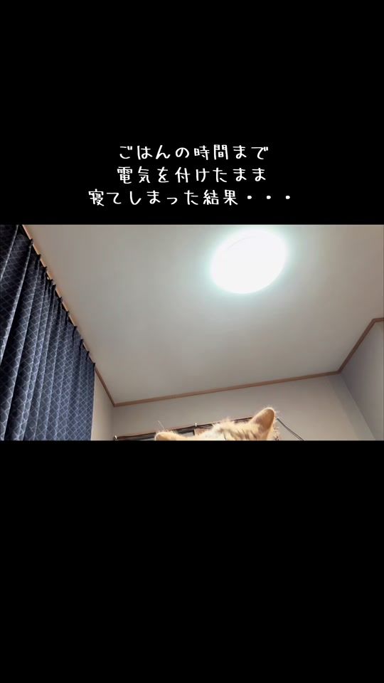 TikTok video thumbnail by jjbwb082