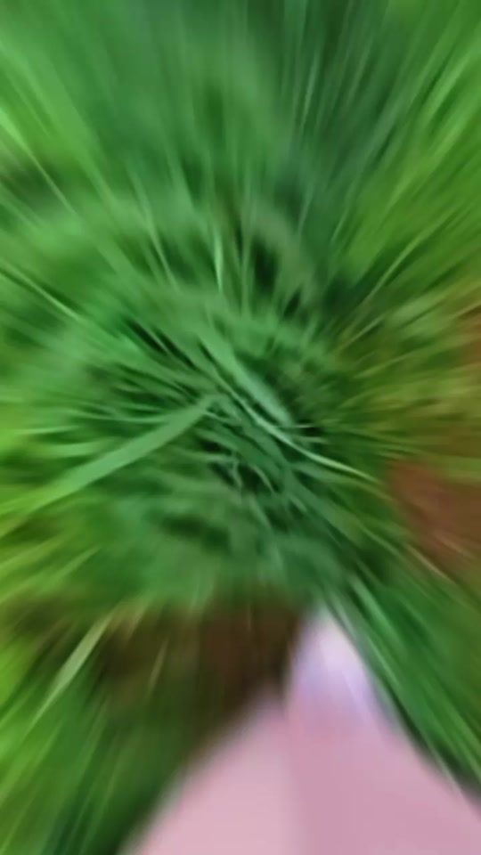 TikTok video thumbnail by jiji31maram