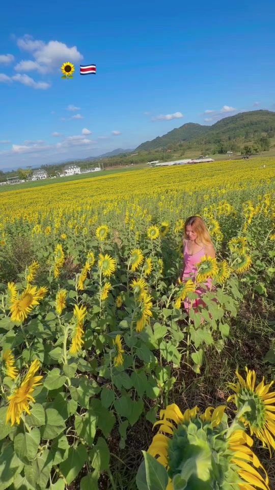 TikTok video thumbnail by moemoekhaing081