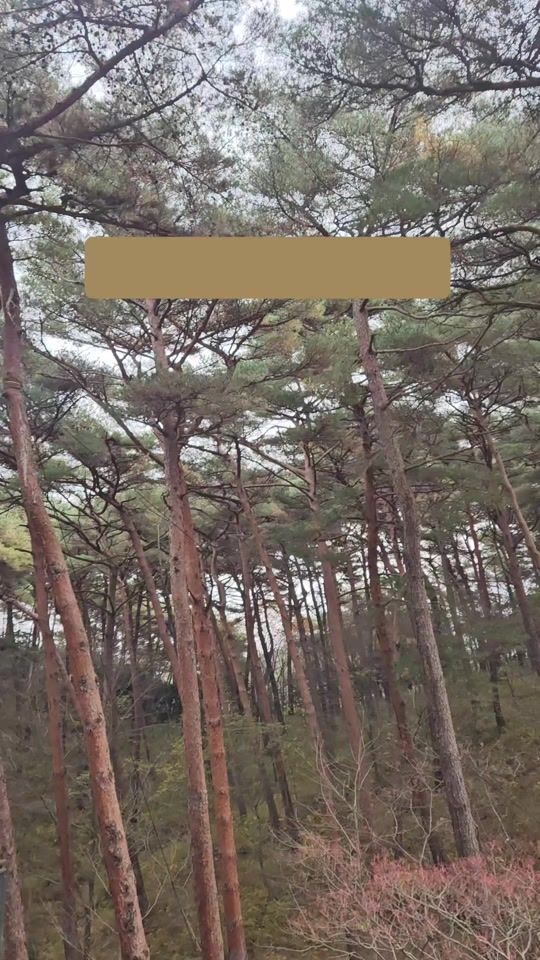 TikTok video thumbnail by jh55385513