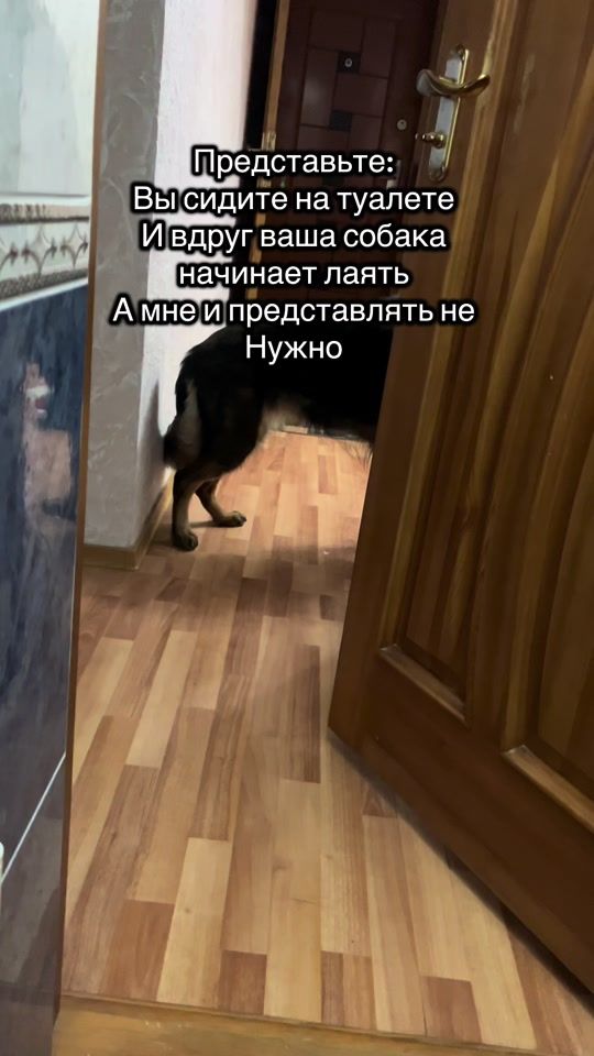 TikTok video thumbnail by twoi_kinolog